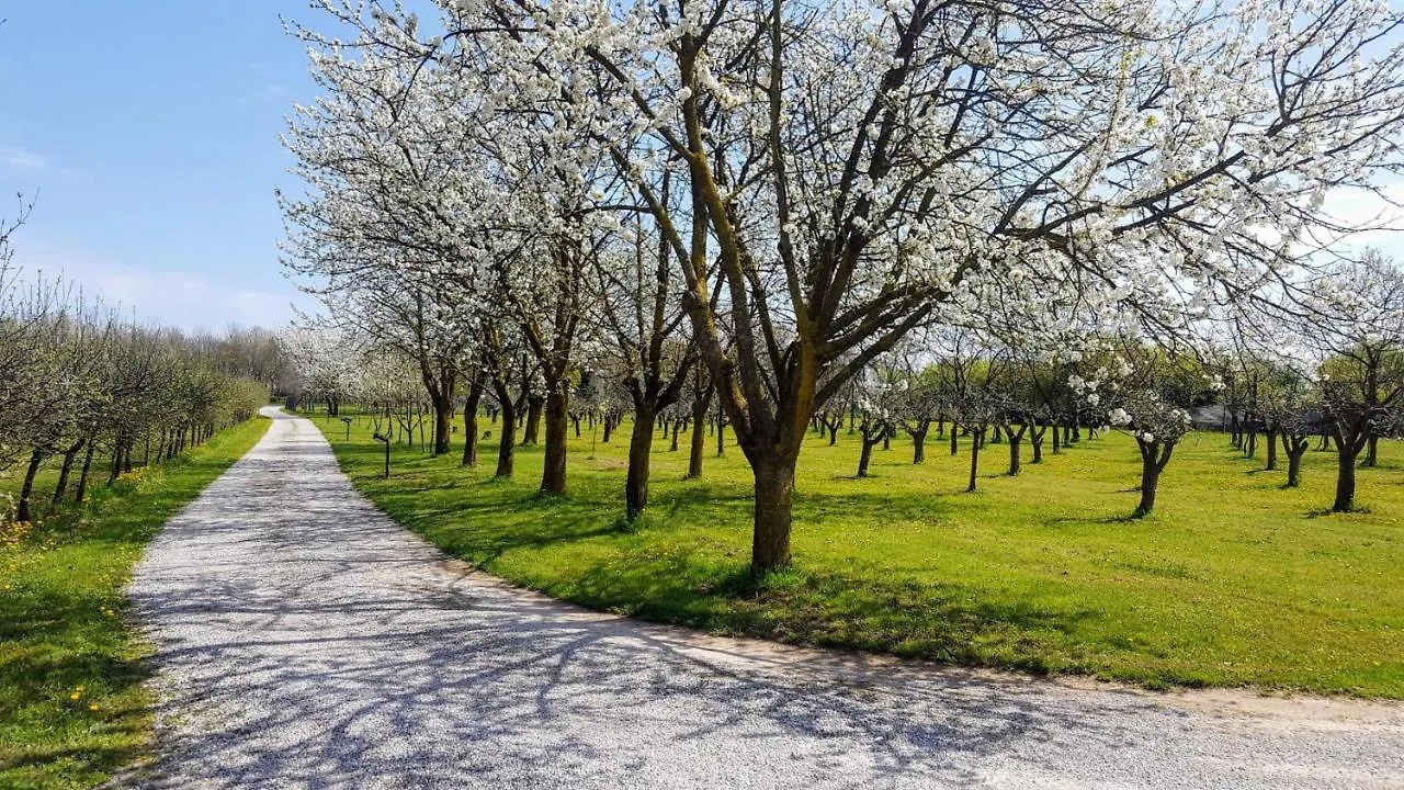 Agriturismo Borgo Borromeo Rubano 0*,  Italien